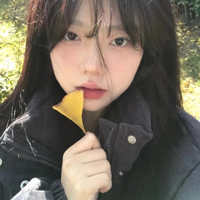 大师之手